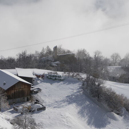 Tilla im Winterschlaf.
