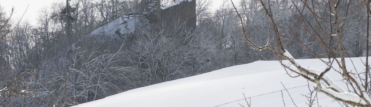 Tilla im Winterschlaf.