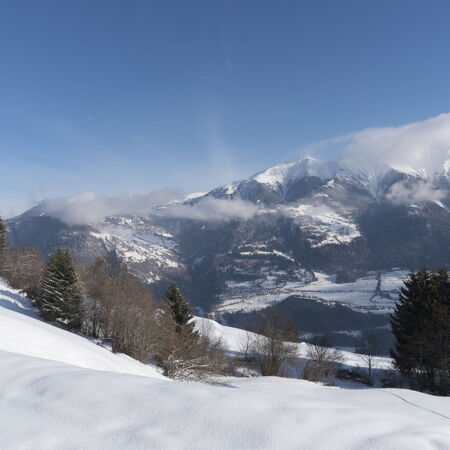 Tilla im Winterschlaf.