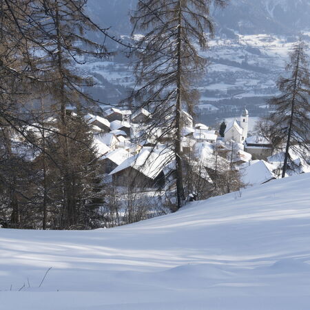 Tilla im Winterschlaf.