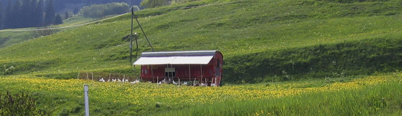 Am Heinzenberg