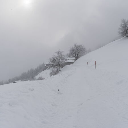 Tilla im Winterschlaf.