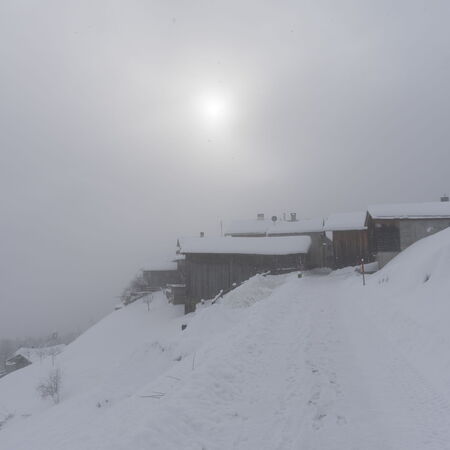 Tilla im Winterschlaf.
