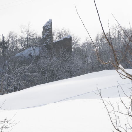 Tilla im Winterschlaf.