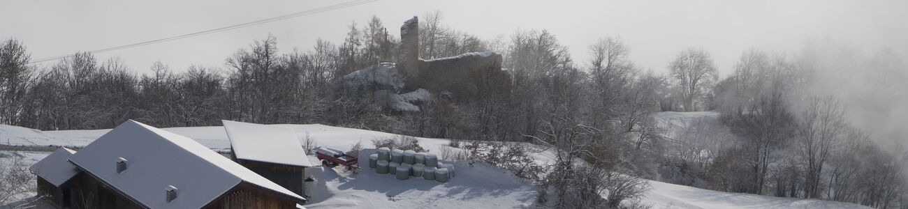 Tilla im Winterschlaf.