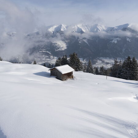 Tilla im Winterschlaf.