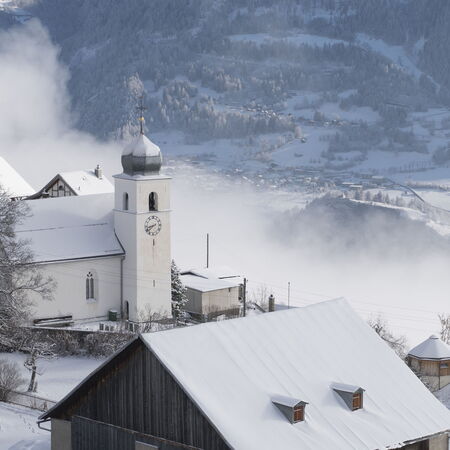 Tilla im Winterschlaf.