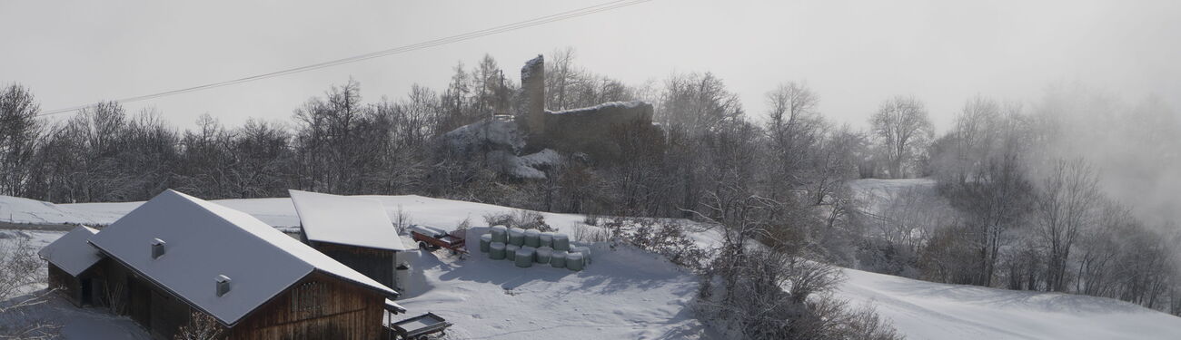 Tilla im Winterschlaf.