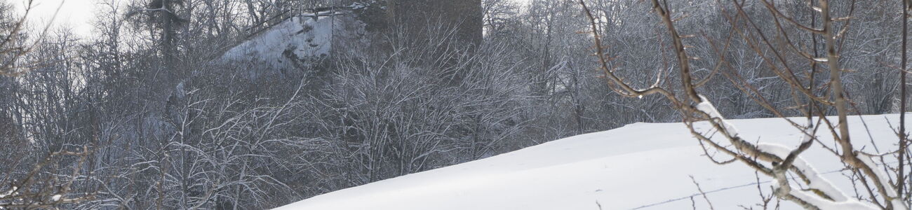 Tilla im Winterschlaf.