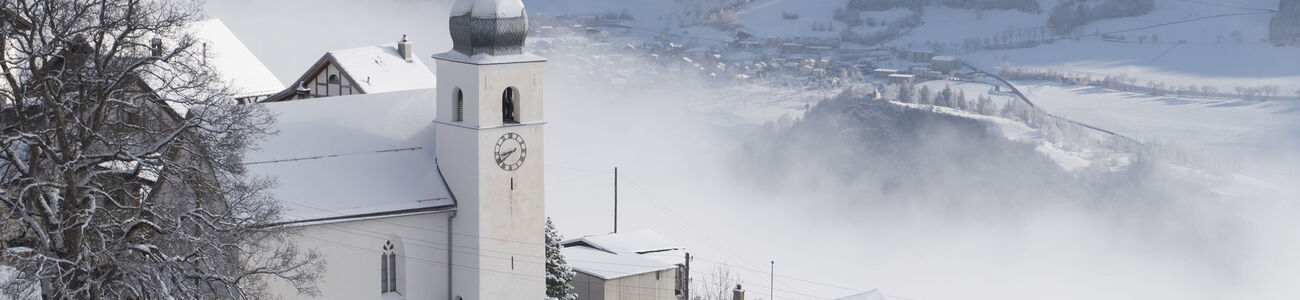 Tilla im Winterschlaf.