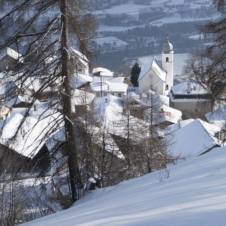 Tilla im Winterschlaf.