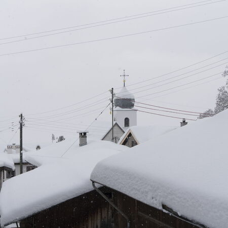 Tilla im Winterschlaf.